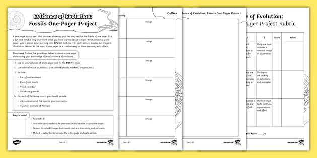 Evidence of Evolution: Fossils One-Pager Project 6th-8th Grade