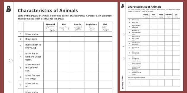 Characteristics of Animals Activity (teacher made) - Twinkl