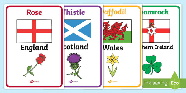 Flowers Of The Uk And Northern Ireland Posters Resources