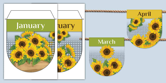 👉 Sunflower Themed Months Display Bunting Twinkl 1213