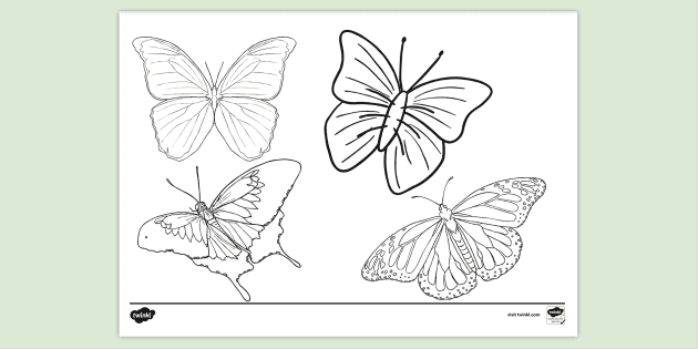 butterfly pictures to print and color