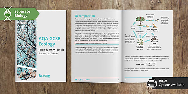 AQA GCSE Biology Ecology Revision Separate Science | Beyond