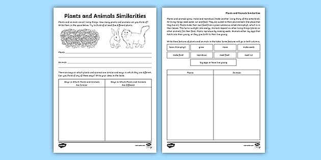 classifying plants and animals