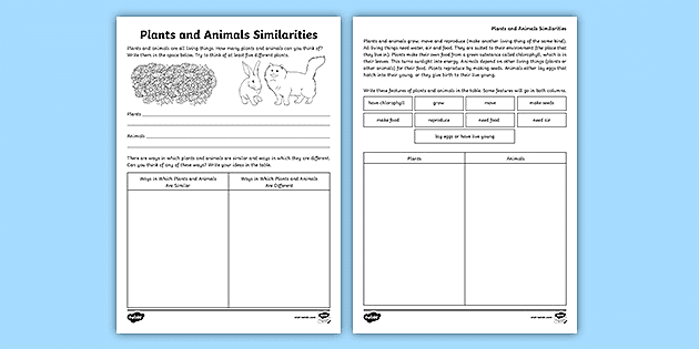 Characteristics of Plants and Animals