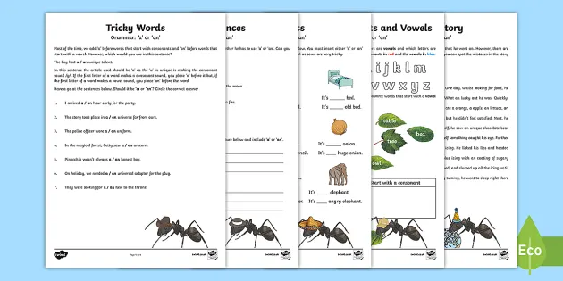 English Grammar Project Booklet - Primary Resources - Twinkl