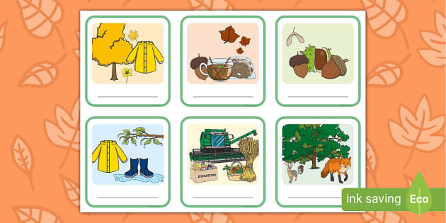 Autumn Flashcards  Twinkl Teacher-Made Learning Resources