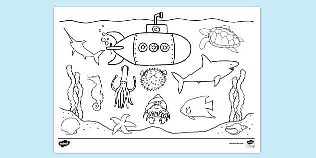Under The Sea Coloring Book Planner: Sea Creature Coloring Planner and  Coloring Journal