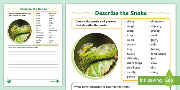 describe-the-snake-writing-activity-sheet-snake-twinkl