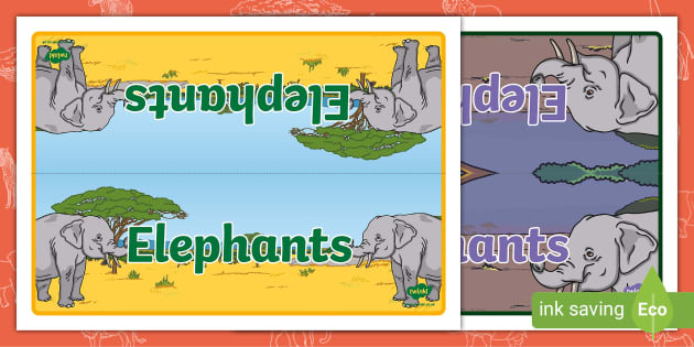 Elephant Group Table Sign (teacher made) - Twinkl