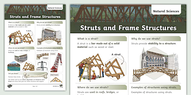 Struts Worksheet Grade 4: NS: Struts and Frame Structures: Fact File - Twinkl