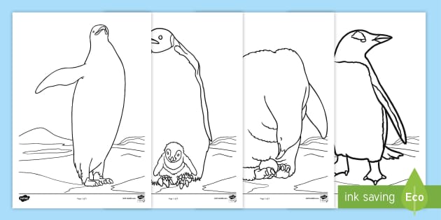 coloring pages of penguins for preschoolers