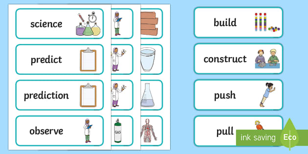 Scientific Experiments Word Cards
