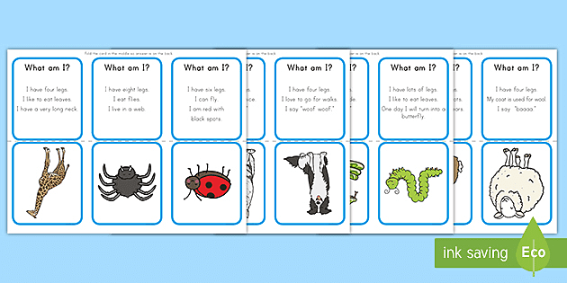 What's missing? – Pets  English Vocabulary Guessing Game for kids