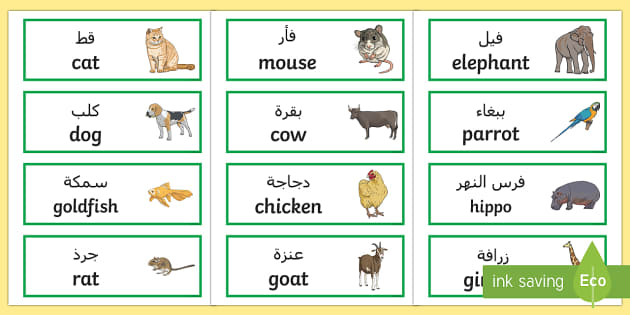Animals Word Cards Spanish Arabic/English (teacher made)