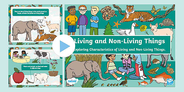presentation of living and nonliving things