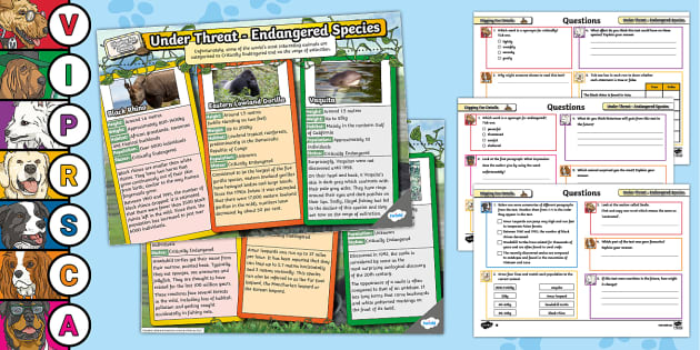 UKS2 Digging for Details Endangered Species Infographic