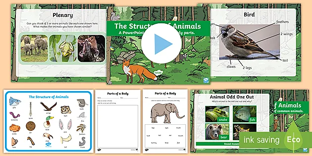 Structure of Animals Pack | Animal Diagrams to Label
