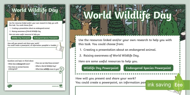 World Wildlife Day: Research Task (teacher made) - Twinkl