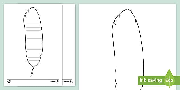 Feather Template | Primary Learning Resource | Twinkl