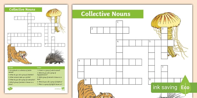Collective Nouns Crossword teacher Made Twinkl