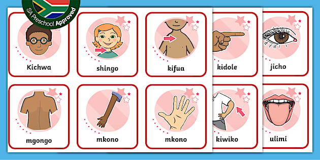 Sehemu Za Mwili Sehemu Za Mwili