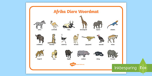 afrikaans-suid-afrikaanse-diere-woordmat-teacher-made