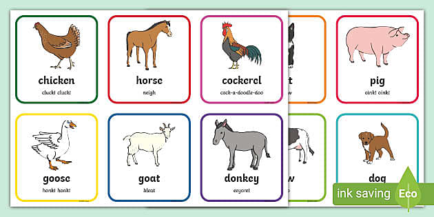 Farm animal flashcards | Twinkl resources (teacher made)