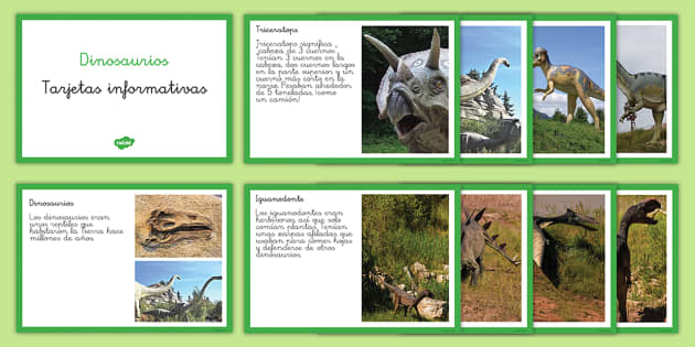 Tarjetas informativas los dinosaurios