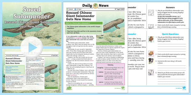 UKS2 Rescued Salamander Daily News Resource Pack - Twinkl