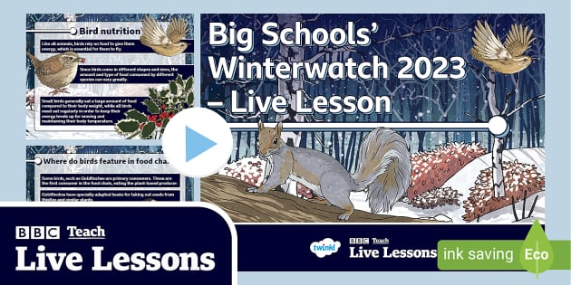Free Bbc Teach Live Lesson Big Schools Winterwatch Powerpoint 
