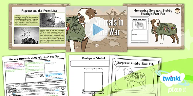 Animals in the War Lesson Pack KS1 - Primary Resources