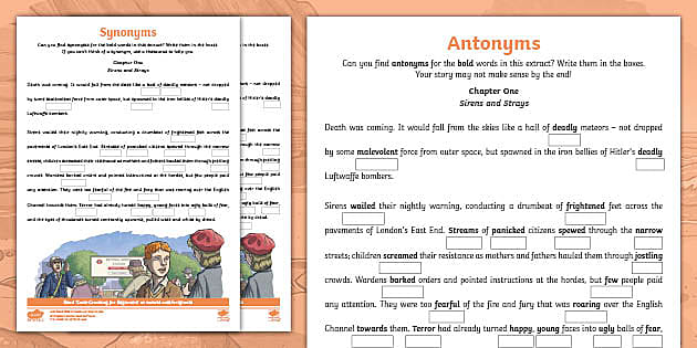 Synonyms Antonyms Homophones Lesson Plans & Worksheets