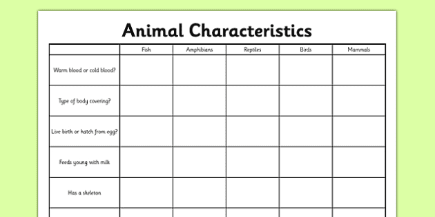 Classifying Animals Game - Animal Groups Game (teacher made)