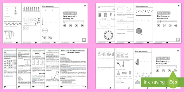 sats survival y22 reasoning practice revision activity booklet