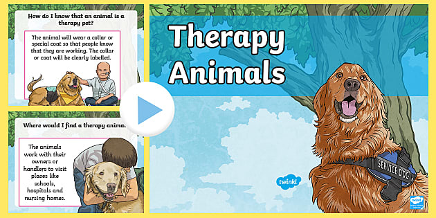 Therapy Animals PowerPoint (teacher made) - Twinkl
