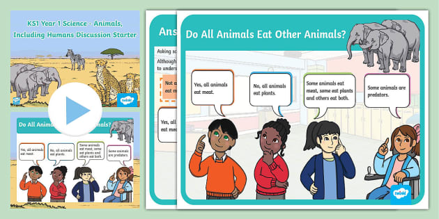 Year 1 Animals, Including Humans Science Discussion Starter