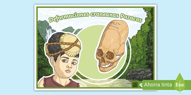 Le Parfum de l'impératrice - Tome 2 La Fleur d'Assam