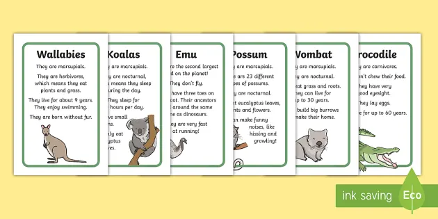 Australian Animal Facts Prompt Frame (teacher made) - Twinkl