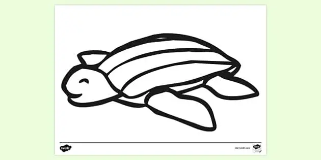 Page 2 | Sea Turtle Drawing Color Images - Free Download on Freepik