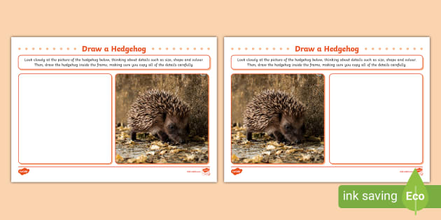 Draw a Hedgehog Art Activity (teacher made) - Twinkl