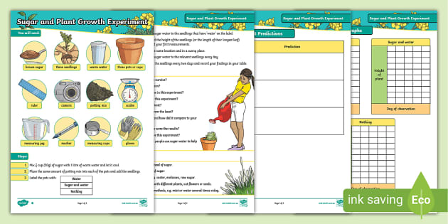 Sugar And Plant Growth Experiment (teacher Made) - Twinkl