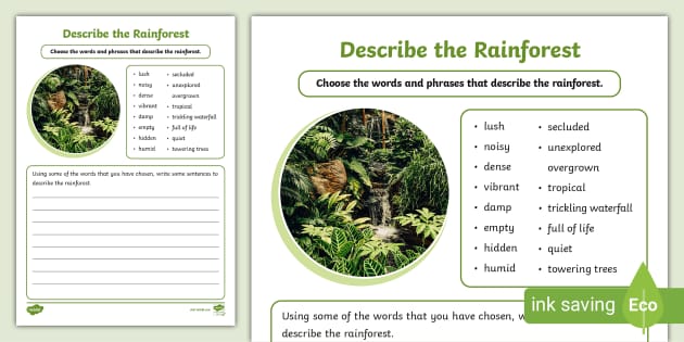description of a tropical rainforest creative writing