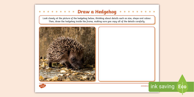 Draw a Hedgehog Art Activity (teacher made) - Twinkl