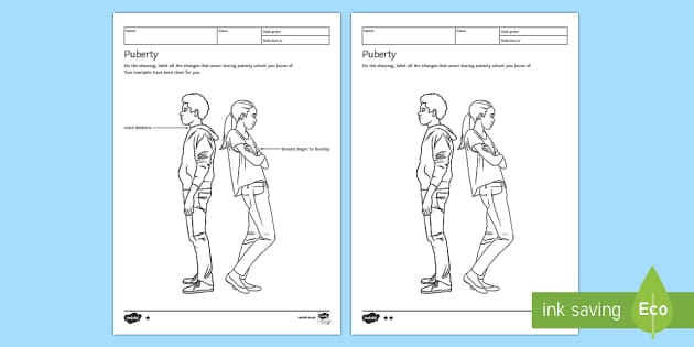KS3 Puberty Homework Worksheet (teacher made)