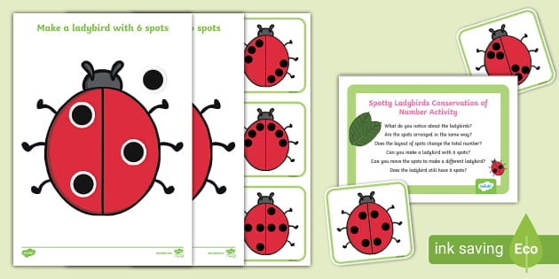 👉 Spotty Ladybirds Conservation of Number Activity | Twinkl