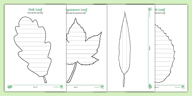 Leaf Themed Review Worksheet / Worksheet Pack (teacher made)