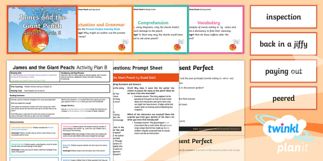 James and the Giant Peach Guided Reading 8 Y4 to Support Teaching On ‘James