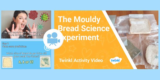 https://images.twinkl.co.uk/tw1n/image/private/t_630_eco/image_repo/2a/ae/t-sc-1659986360-ks2-ages-7-11-activity-video-mouldy-bread-experiment_ver_1.jpg