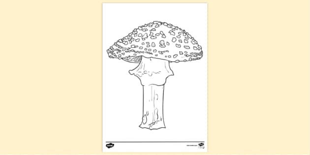Mushroom Coloring Pages for Kids Vol-1 Graphic by KDP PRO DESIGN · Creative  Fabrica