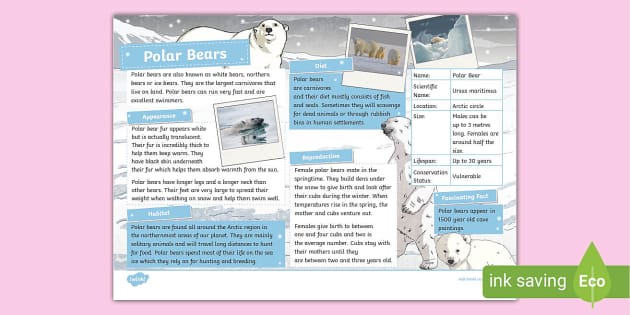 Polar Bear Fact File - KS2 - Animals - Habitats - Arctic